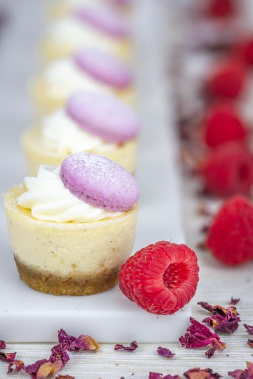 Mini Raspberry & Rosewater Cheesecake